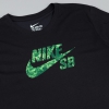 Koszulka Nike SB Dri Fit 360 Fern Fill Black (miniatura)